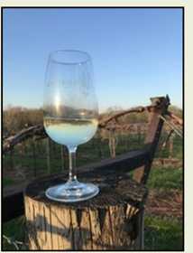 Wine Glass on a Vineyard Post