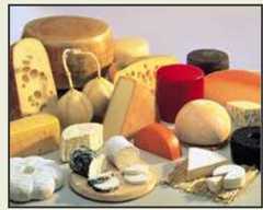 Lots of Cheeses
