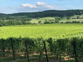 Vineyard at Locksley