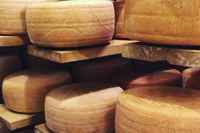 Aging Cheese