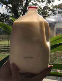 Milk for Cheese is Coming Soon!