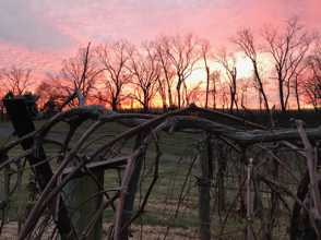 Winter Sunset at Locksley Estate