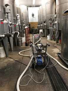 Filtering Wine Before Bottling