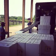 Bottling the 2017 Vintage