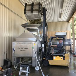 Mark Patterson Pressing Grapes