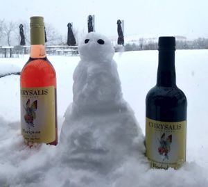 Snowman Wines!