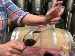 Tasting Wine from Barrel