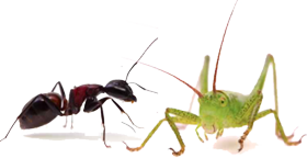 The Ant and the Grasshopper