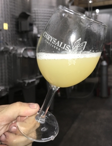 Glass of Fermenting Wine