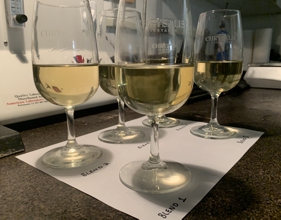 Viognier Blending Trial