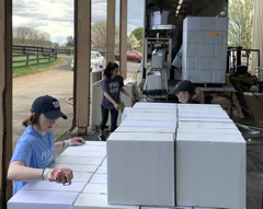 Bottling Our Wines