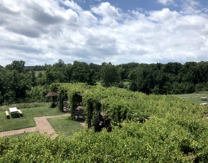 Our Trellis Seating & Dramatic Sky