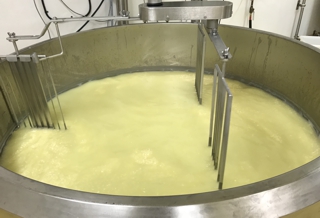 Pasteurizing Milk