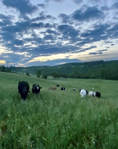 Springtime Pastures