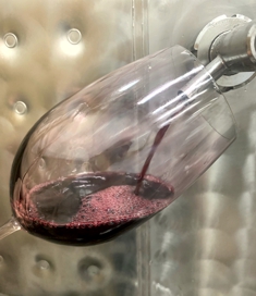 Wine from the Tank