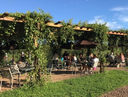 Shaded Trellis Seating