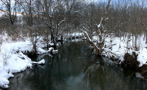 View from the Bridge over the Little River