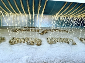 Pressing Reserve Albariño