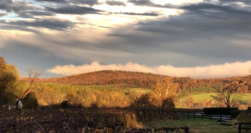 Winter Sun with Dramtic Sky