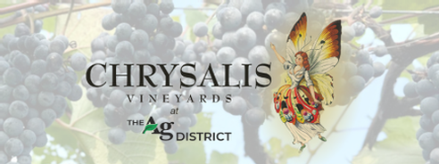 Virginia Wine Month - Norton Grapes