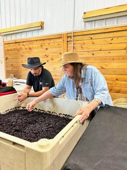 Next Steps In The Cellar
