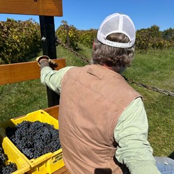 The Great Harvest