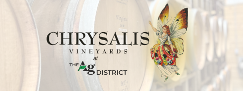 Wine Aging In Barrels