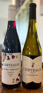 VIP Club Selections for January 2025