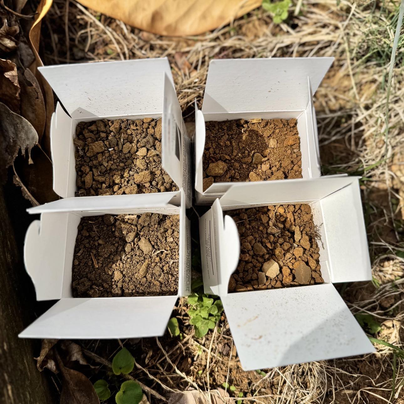 Soil Sample Color Difference