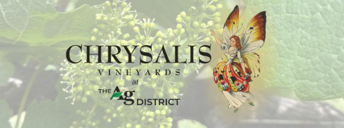 So Long Spring, Hello Summer