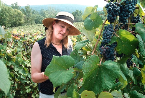 Jenni Inspecting Norton