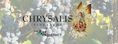 Say to Hello to September