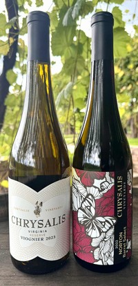 VIP Club Selections for September 2025