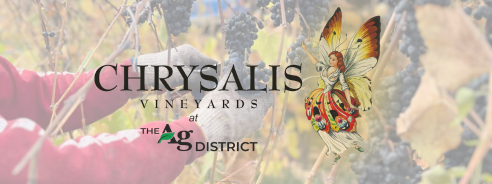 Happy Harvest Season and Cheers to Virginia Wine Month!