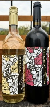 VIP Club Selections for October 2025