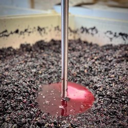 Winemaking Year