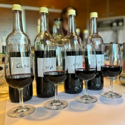 Tasting the 2025 Vintage
