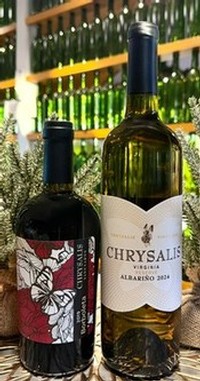 VIP Club Selections for December 2025