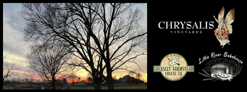 Trees in Spring Sunset