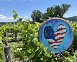 We love our Norton Vines!