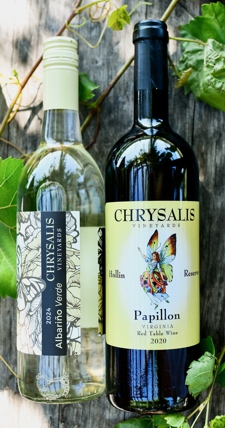 VIP Club Selections for August, 2026