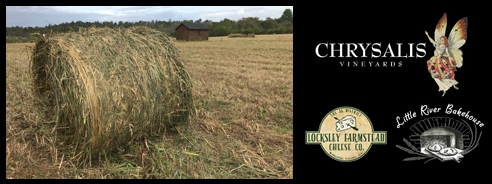 Quintessential Country Scene