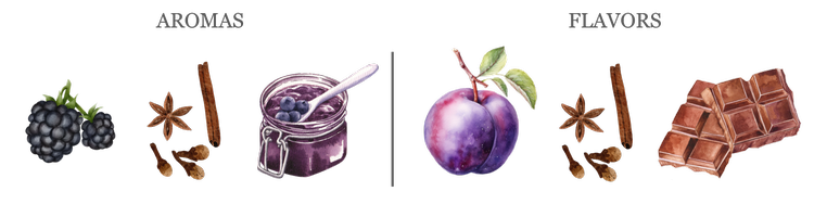 Aromas & Flavors