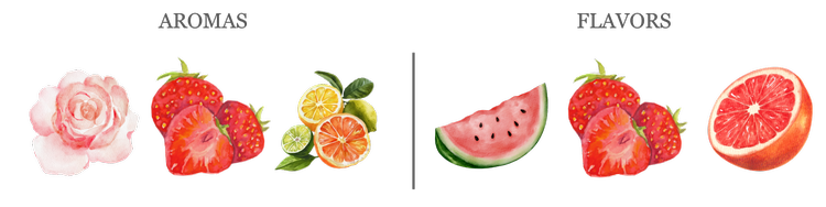 Aromas & Flavors