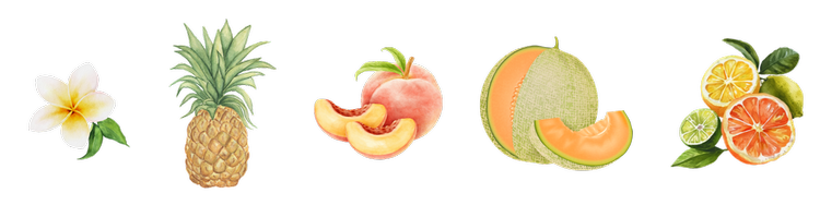 Aromas & Flavors